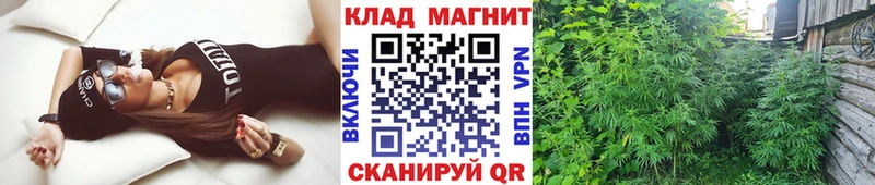 Codein Богородицк