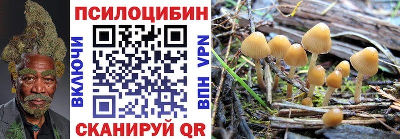 дарк нет как зайти  закладки  Богородицк  Псилоцибиновые грибы GOLDEN TEACHER 