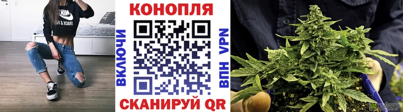 площадка как зайти Богородицк Канабис индика